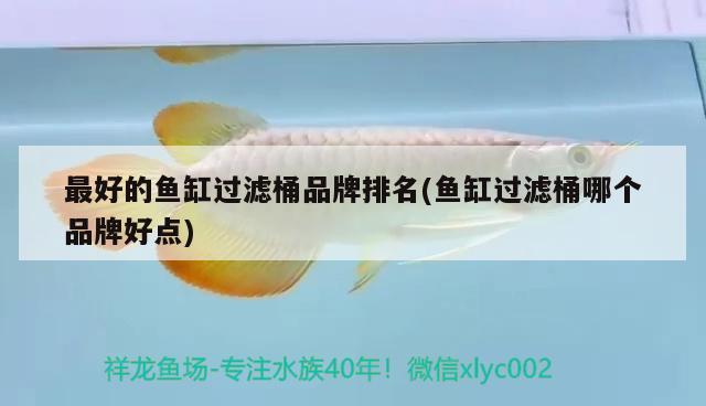 最好的魚(yú)缸過(guò)濾桶品牌排名(魚(yú)缸過(guò)濾桶哪個(gè)品牌好點(diǎn)) 三間鼠魚(yú)