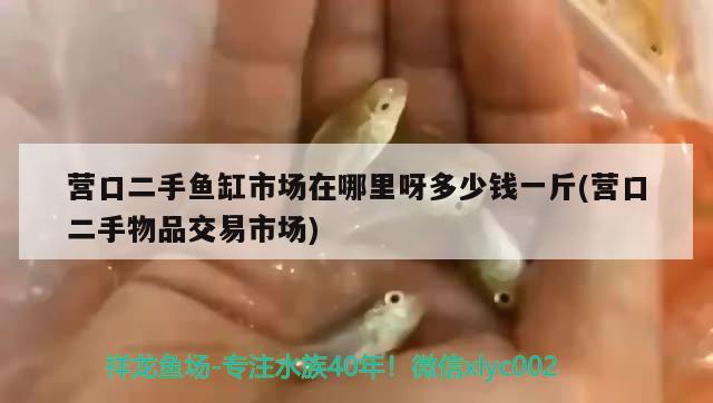 營口二手魚缸市場在哪里呀多少錢一斤(營口二手物品交易市場)