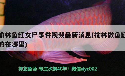 榆林魚缸女尸事件視頻最新消息(榆林做魚缸的在哪里)