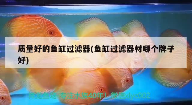 質(zhì)量好的魚缸過濾器(魚缸過濾器材哪個(gè)牌子好)