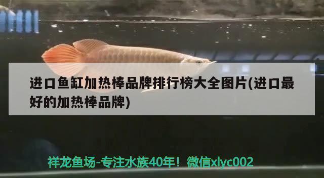 進口魚缸加熱棒品牌排行榜大全圖片(進口最好的加熱棒品牌)