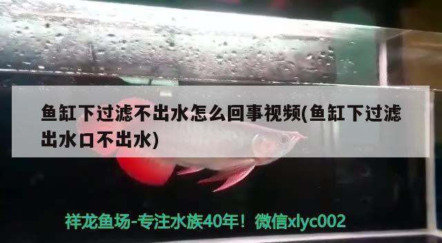 魚缸下過濾不出水怎么回事視頻(魚缸下過濾出水口不出水)