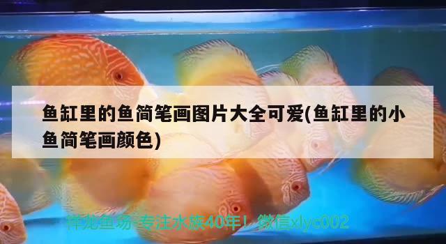 魚缸里的魚簡筆畫圖片大全可愛(魚缸里的小魚簡筆畫顏色)