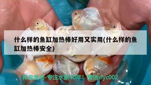 什么樣的魚缸加熱棒好用又實(shí)用(什么樣的魚缸加熱棒安全) 溫控設(shè)備