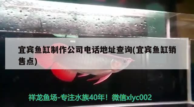 宜賓魚缸制作公司電話地址查詢(宜賓魚缸銷售點)