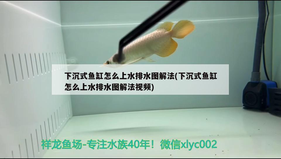 下沉式魚缸怎么上水排水圖解法(下沉式魚缸怎么上水排水圖解法視頻) 白子銀版魚