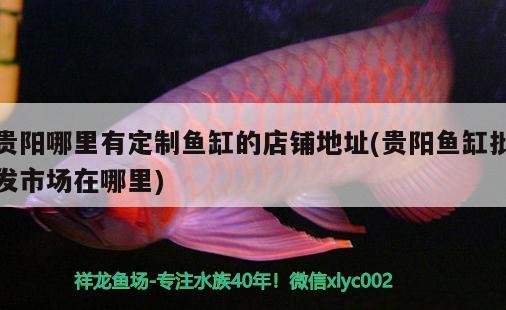 貴陽(yáng)哪里有定制魚缸的店鋪地址(貴陽(yáng)魚缸批發(fā)市場(chǎng)在哪里) 潛水艇魚