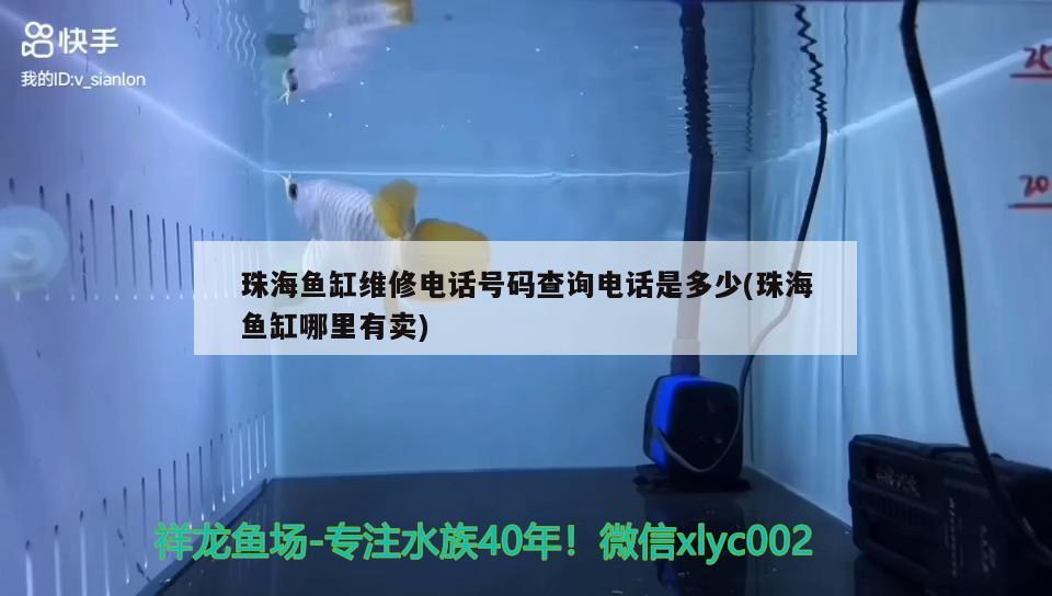 珠海魚缸維修電話號碼查詢電話是多少(珠海魚缸哪里有賣) 戰(zhàn)車紅龍魚