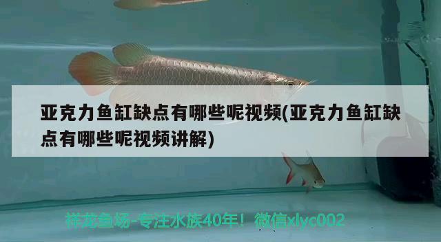 亞克力魚缸缺點(diǎn)有哪些呢視頻(亞克力魚缸缺點(diǎn)有哪些呢視頻講解)