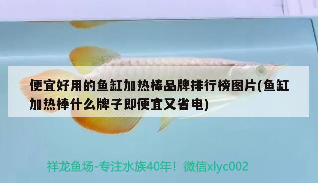 便宜好用的魚缸加熱棒品牌排行榜圖片(魚缸加熱棒什么牌子即便宜又省電)