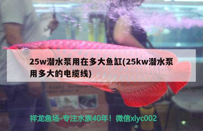 25w潛水泵用在多大魚缸(25kw潛水泵用多大的電纜線)