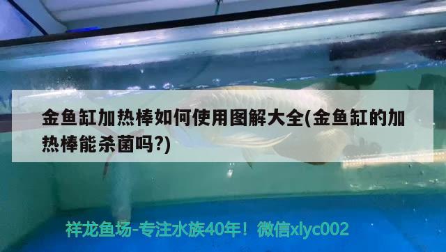 金魚缸加熱棒如何使用圖解大全(金魚缸的加熱棒能殺菌嗎?) 除藻劑