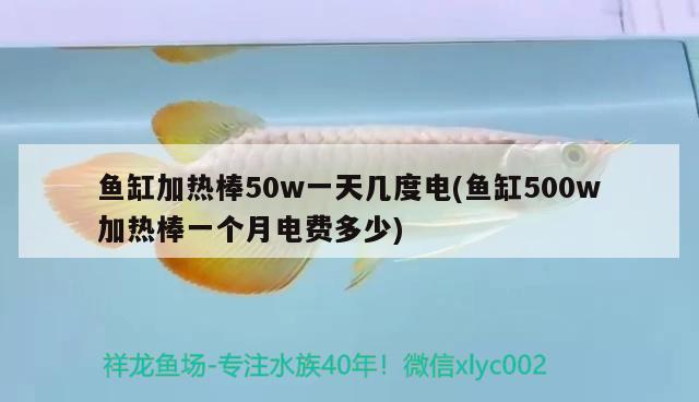 魚缸加熱棒50w一天幾度電(魚缸500w加熱棒一個月電費多少) 招財戰(zhàn)船魚