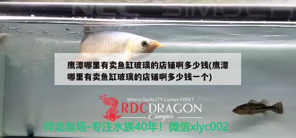 鷹潭哪里有賣魚缸玻璃的店鋪啊多少錢(鷹潭哪里有賣魚缸玻璃的店鋪啊多少錢一個(gè))