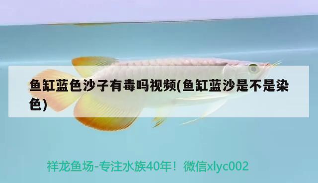 魚缸藍色沙子有毒嗎視頻(魚缸藍沙是不是染色)