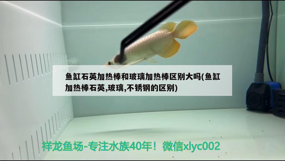 魚缸石英加熱棒和玻璃加熱棒區(qū)別大嗎(魚缸加熱棒石英,玻璃,不銹鋼的區(qū)別)