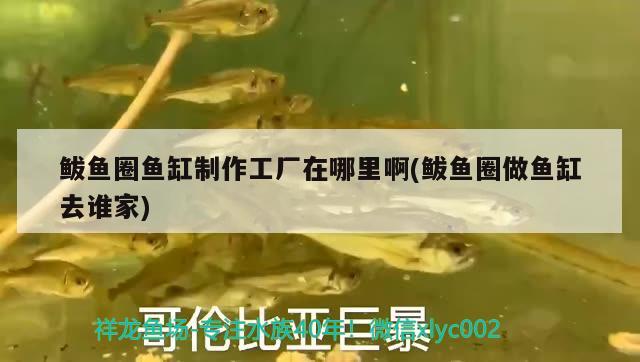 鲅魚(yú)圈魚(yú)缸制作工廠在哪里啊(鲅魚(yú)圈做魚(yú)缸去誰(shuí)家)