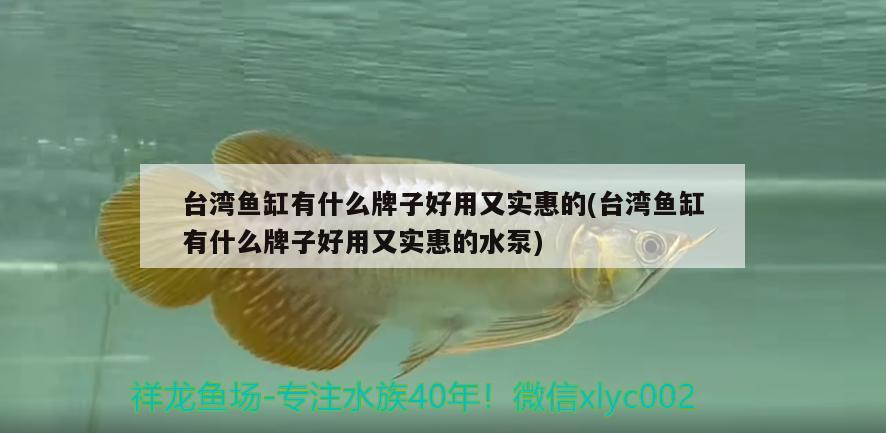 臺灣魚缸有什么牌子好用又實惠的(臺灣魚缸有什么牌子好用又實惠的水泵) 潛水艇魚