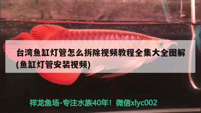 臺(tái)灣魚缸燈管怎么拆除視頻教程全集大全圖解(魚缸燈管安裝視頻) 白子黑帝王魟魚 第2張