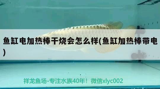 魚缸電加熱棒干燒會(huì)怎么樣(魚缸加熱棒帶電) 可麗愛魚缸