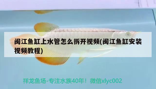 閩江魚缸上水管怎么拆開視頻(閩江魚缸安裝視頻教程) 紅白錦鯉魚