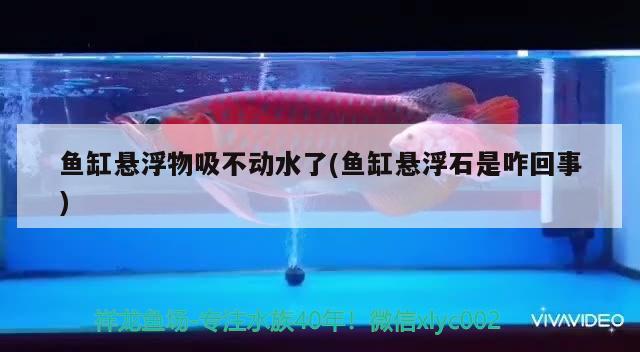 魚缸懸浮物吸不動水了(魚缸懸浮石是咋回事) 二氧化碳設(shè)備