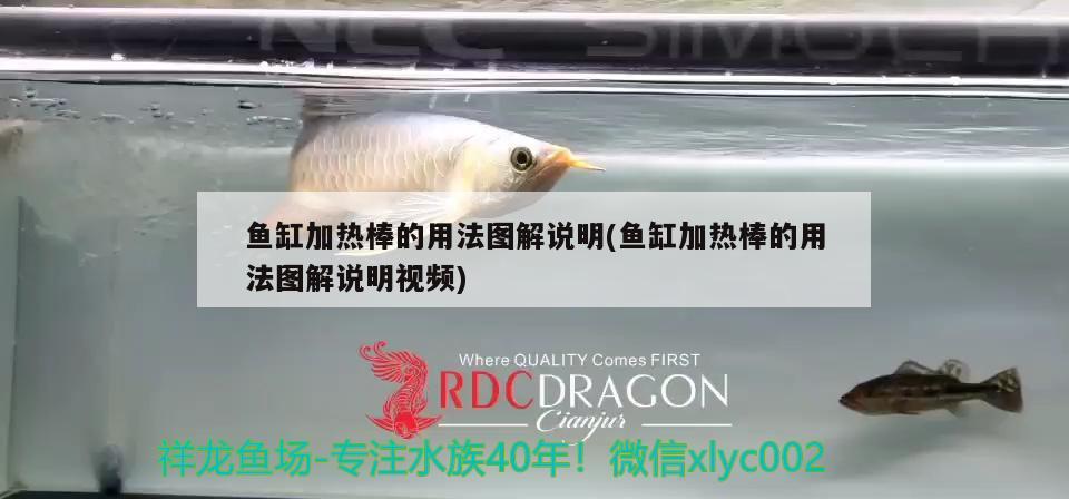 魚缸加熱棒的用法圖解說明(魚缸加熱棒的用法圖解說明視頻) 黑桃A魚苗