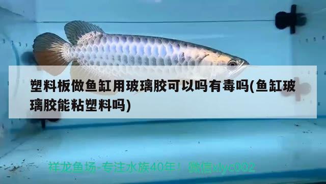 塑料板做魚缸用玻璃膠可以嗎有毒嗎(魚缸玻璃膠能粘塑料嗎)