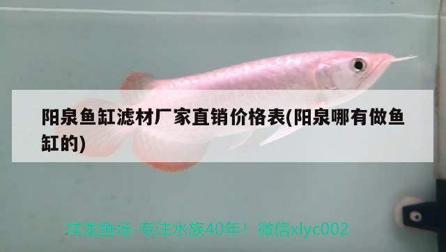 陽泉魚缸濾材廠家直銷價(jià)格表(陽泉哪有做魚缸的) 其他益生菌