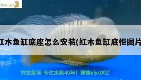 紅木魚缸底座怎么安裝(紅木魚缸底柜圖片) 祥龍赫舞紅龍魚