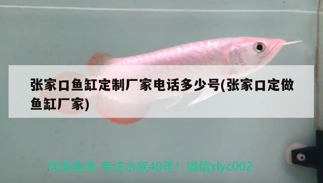 張家口魚缸定制廠家電話多少號(hào)(張家口定做魚缸廠家)