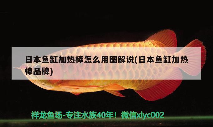 日本魚缸加熱棒怎么用圖解說(日本魚缸加熱棒品牌) PH調(diào)節(jié)劑