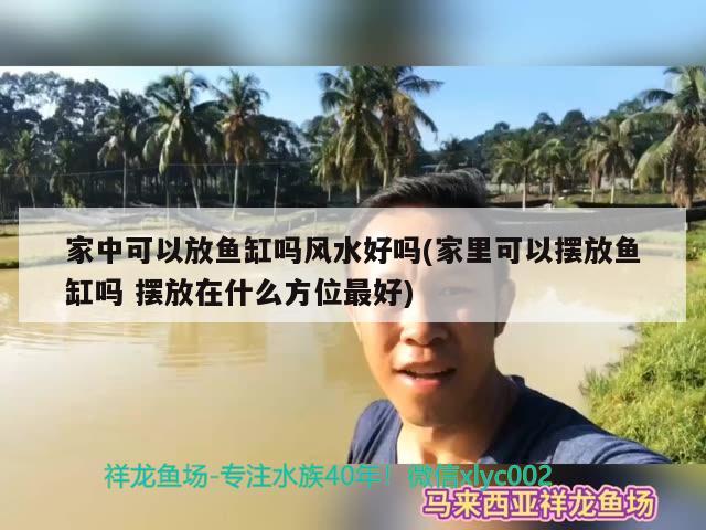 家中可以放魚缸嗎風(fēng)水好嗎(家里可以擺放魚缸嗎擺放在什么方位最好)