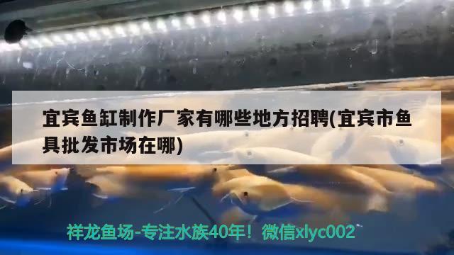 宜賓魚(yú)缸制作廠家有哪些地方招聘(宜賓市魚(yú)具批發(fā)市場(chǎng)在哪)