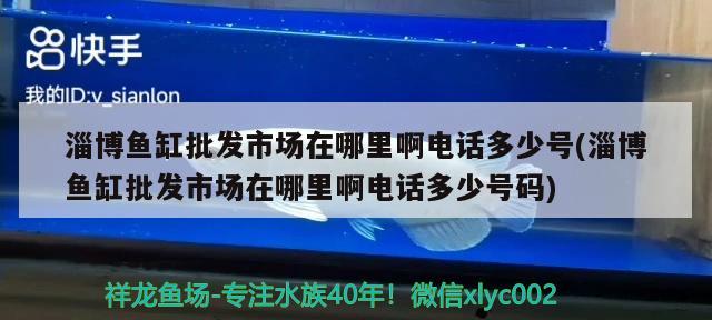 淄博魚缸批發(fā)市場在哪里啊電話多少號(淄博魚缸批發(fā)市場在哪里啊電話多少號碼)