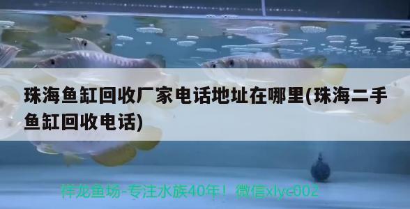 珠海魚缸回收廠家電話地址在哪里(珠海二手魚缸回收電話)