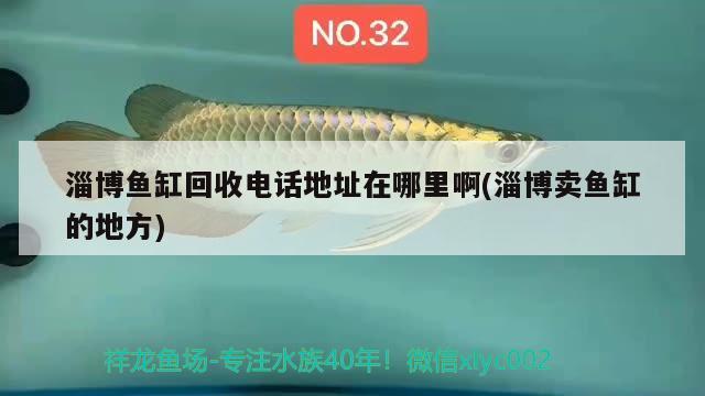 淄博魚缸回收電話地址在哪里啊(淄博賣魚缸的地方)