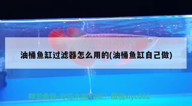 油桶魚(yú)缸過(guò)濾器怎么用的(油桶魚(yú)缸自己做)