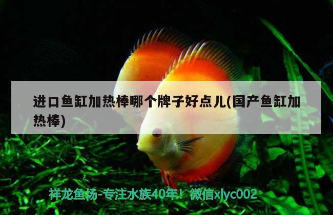 進(jìn)口魚缸加熱棒哪個(gè)牌子好點(diǎn)兒(國(guó)產(chǎn)魚缸加熱棒)