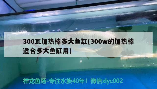 300瓦加熱棒多大魚缸(300w的加熱棒適合多大魚缸用)