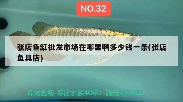 張店魚缸批發(fā)市場在哪里啊多少錢一條(張店魚具店)