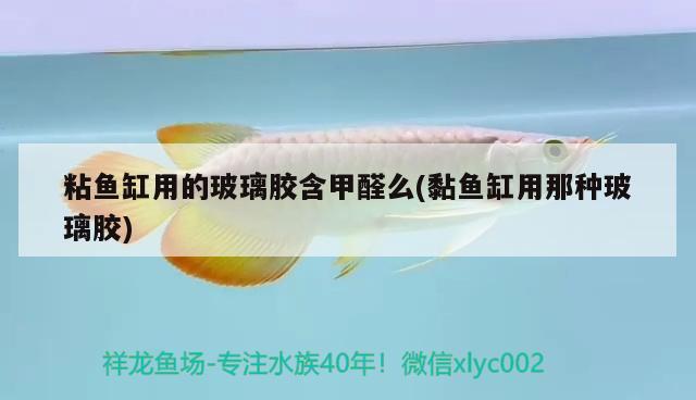 粘魚缸用的玻璃膠含甲醛么(黏魚缸用那種玻璃膠)