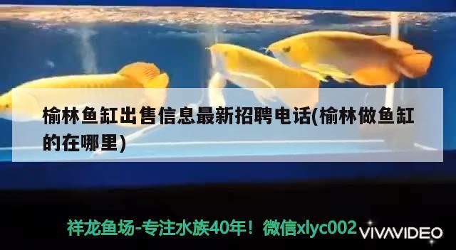 榆林魚缸出售信息最新招聘電話(榆林做魚缸的在哪里) 溫控設(shè)備