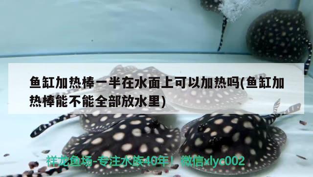 魚缸加熱棒一半在水面上可以加熱嗎(魚缸加熱棒能不能全部放水里) 電鰻