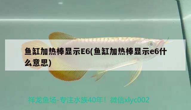 魚缸加熱棒顯示E6(魚缸加熱棒顯示e6什么意思)