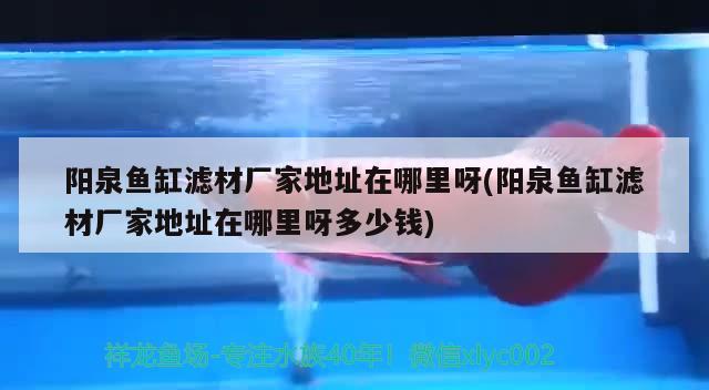 陽泉魚缸濾材廠家地址在哪里呀(陽泉魚缸濾材廠家地址在哪里呀多少錢) 七紋巨鯉魚