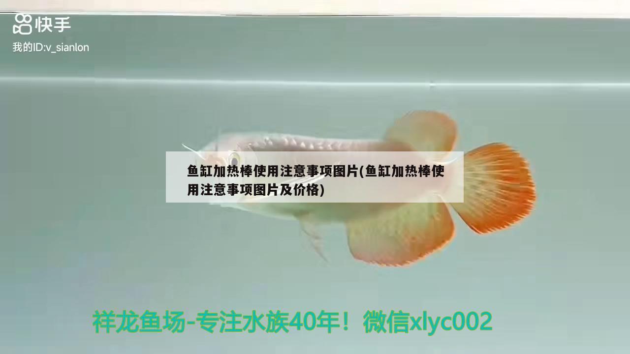 魚缸加熱棒使用注意事項(xiàng)圖片(魚缸加熱棒使用注意事項(xiàng)圖片及價(jià)格) 祥龍水族護(hù)理水