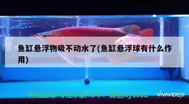 魚缸懸浮物吸不動水了(魚缸懸浮球有什么作用)