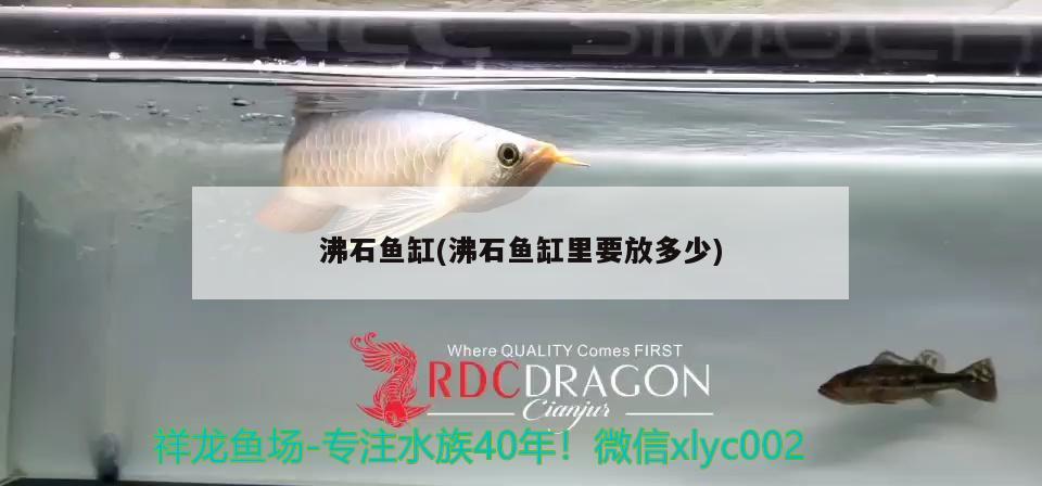 沸石魚缸(沸石魚缸里要放多少)