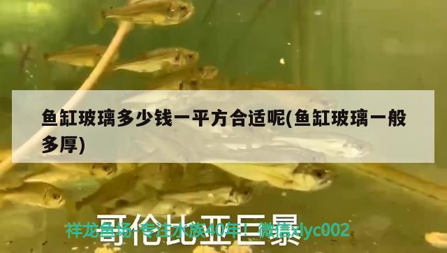 魚缸玻璃多少錢一平方合適呢(魚缸玻璃一般多厚)